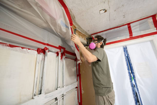 Best Residential Mold Inspection & Testing  in Cambridge, OH