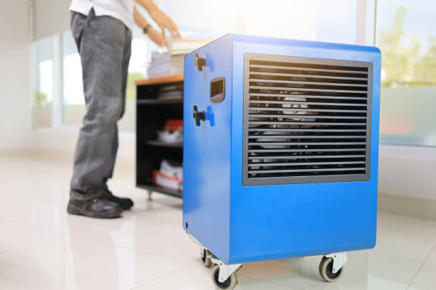 Best Attic Mold Removal  in Cambridge, OH